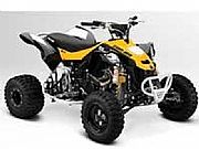 竞赛DS 450 X MX