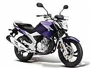 飞致YS250