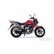 猛龙QJ150-26H