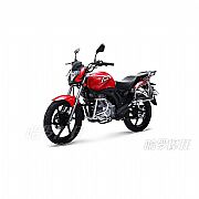 新钱江龙QJ150-19M