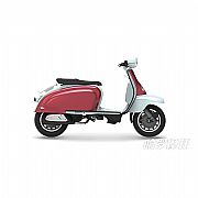 TG300S