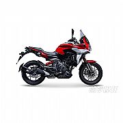 赛科龙RX6