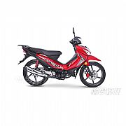 胜歌110