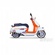 维多利亚Sixties 300i