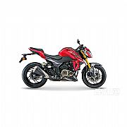 DR300